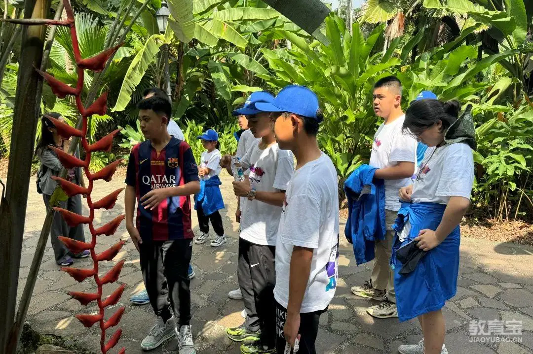 乌鲁木齐篮球训练营招生_1